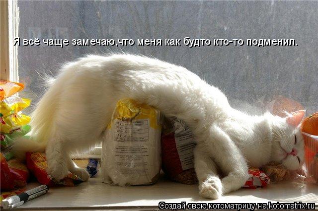 Я всё чаще замечаю,что меня как будто кто-то подменил.... Котоматрица: Я всё чаще замечаю,что меня как будто кто-то подменил.