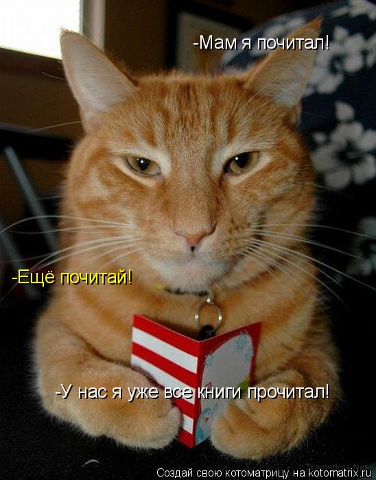-Мам я почитал! -Ещё почитай! -У нас я уже все книги прочитал!... Котоматрица: -Мам я почитал! -Ещё почитай! -У нас я уже все книги прочитал!