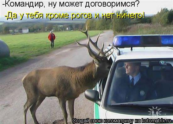 -Командир, ну может договоримся? -Да у тебя кроме рогов и нет ничего!... Котоматрица: -Командир, ну может договоримся? -Да у тебя кроме рогов и нет ничего!