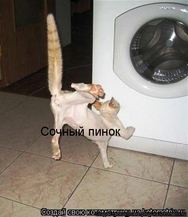 Сочный пинок... Котоматрица: Сочный пинок