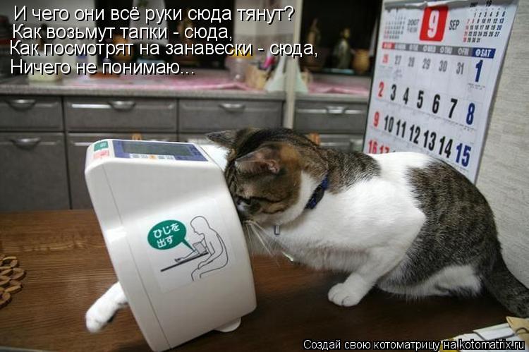 Котоматрица: И чего они всё руки сюда тянут? Как возьмут тапки - сюда, Как посмотрят на занавески - сюда, Ничего не понимаю...