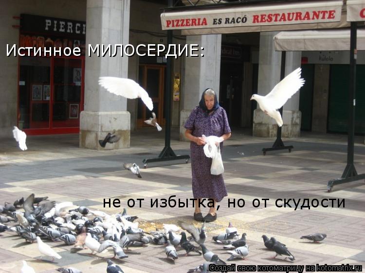 Котоматрица: Истинное МИЛОСЕРДИЕ:  не от избытка, но от скудости
