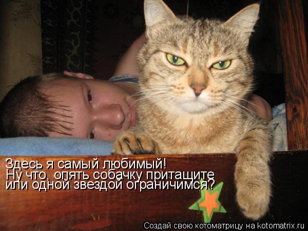 Котоматрица: Здесь я самый любимый! Ну что, опять собачку притащите или одной звездой ограничимся?