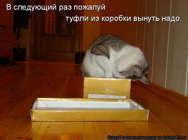 Котоматрица: В следующий раз пожалуй  туфли из коробки вынуть надо.
