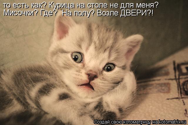 Котоматрица: то есть как? Курица на столе не для меня? Мисочки? Где? На полу? Возле ДВЕРИ?!