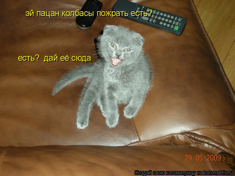 дай её сюда эй пацан колбасы пожрать есть? есть?... Котоматрица: дай её сюда эй пацан колбасы пожрать есть? есть?
