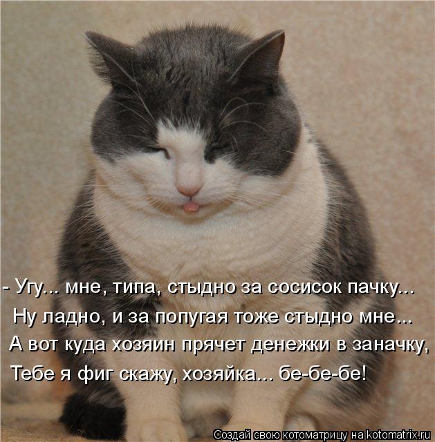 - Угу... мне, типа, стыдно за сосисок пачку... Ну ладно, и за попугая тоже стыдно мне... А вот куда х... Котоматрица: - Угу... мне, типа, стыдно за сосисок пачку... Ну ладно, и за попугая тоже стыдно мне... А вот куда хозяин прячет денежки в заначку, Тебе я фиг скаж