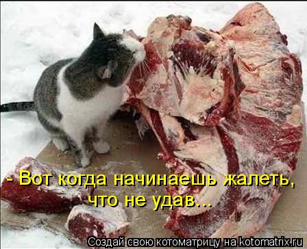 - Вот когда начинаешь жалеть, что не удав...... Котоматрица: - Вот когда начинаешь жалеть, что не удав...