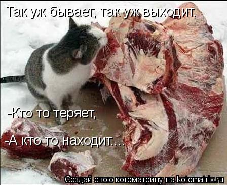 Так уж бывает, так уж выходит, -Кто то теряет, -А кто то находит....... Котоматрица: Так уж бывает, так уж выходит, -Кто то теряет, -А кто то находит....