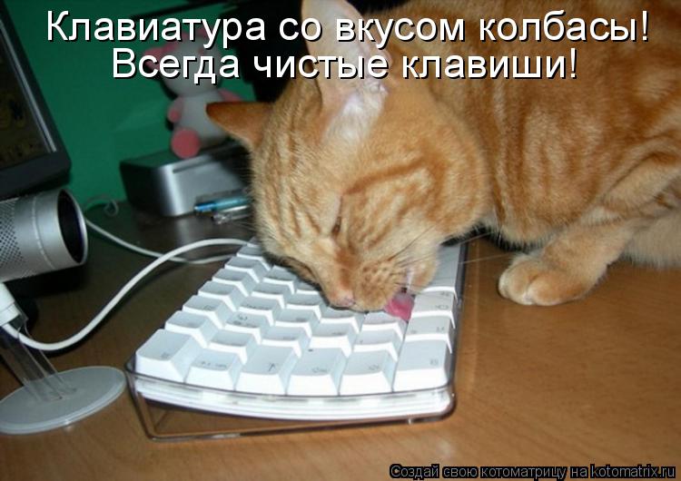 Клавиатура со вкусом колбасы! Всегда чистые клавиши!... Котоматрица: Клавиатура со вкусом колбасы! Всегда чистые клавиши!
