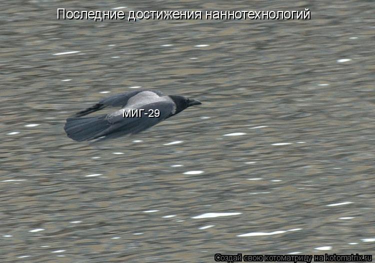 МИГ-29 Последние достижения наннотехнологий... Котоматрица: МИГ-29 Последние достижения наннотехнологий