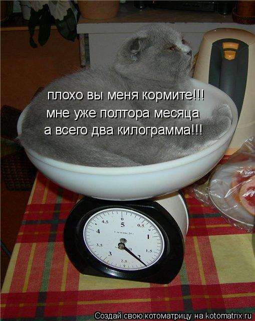 плохо вы меня кормите!!! мне уже полтора месяца а всего два килограмма!!!... Котоматрица: плохо вы меня кормите!!! мне уже полтора месяца а всего два килограмма!!!