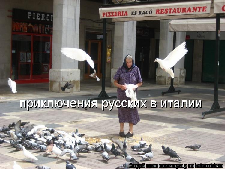 приключения русских в италии... Котоматрица: приключения русских в италии