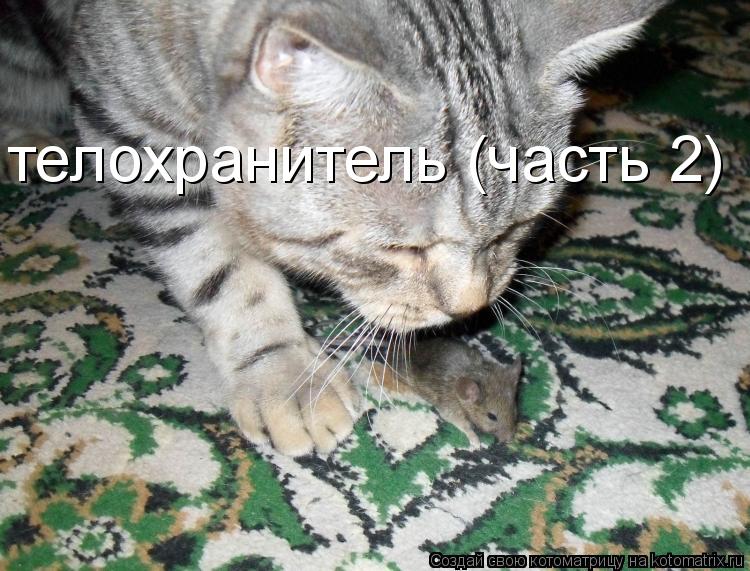 телохранитель (часть 2)... Котоматрица: телохранитель (часть 2)