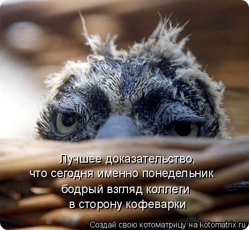 Лучшее доказательство, что сегодня именно понедельник бодрый взгляд коллеги в сторону кофеварки... Котоматрица: Лучшее доказательство, что сегодня именно понедельник бодрый взгляд коллеги в сторону кофеварки
