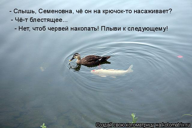 - Слышь, Семеновна, чё он на крючок-то насаживает? - Чё-т блестящее... - Нет, чтоб червей накопать!... Котоматрица: - Слышь, Семеновна, чё он на крючок-то насаживает? - Чё-т блестящее... - Нет, чтоб червей накопать! Плыви к следующему!