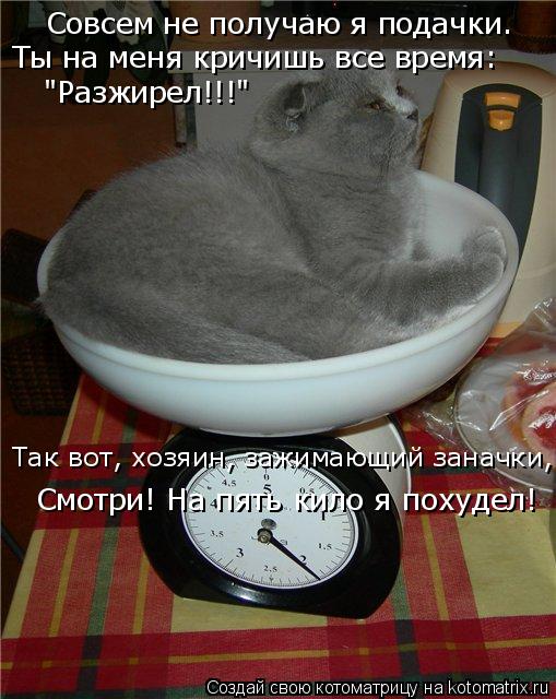 Совсем не получаю я подачки. Ты на меня кричишь все время: "Разжирел!!!" Так вот, хозяин, зажимающий... Котоматрица: Совсем не получаю я подачки. Ты на меня кричишь все время: "Разжирел!!!" Так вот, хозяин, зажимающий заначки, Смотри! На пять кило я похудел!