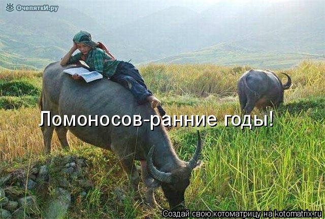 Ломоносов-ранние годы!... Котоматрица: Ломоносов-ранние годы!