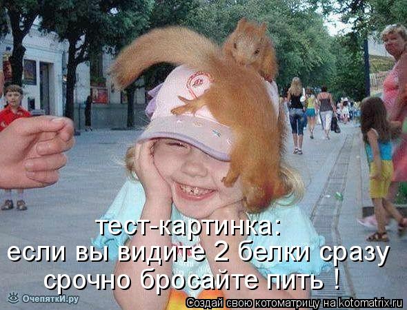 тест-картинка: если вы видите 2 белки сразу срочно бросайте пить !... Котоматрица: тест-картинка: если вы видите 2 белки сразу срочно бросайте пить !