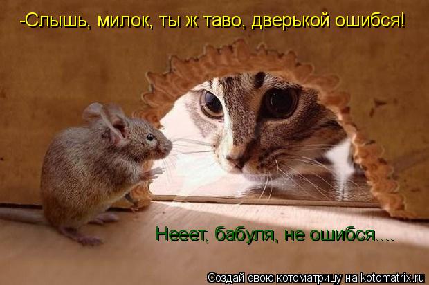 Котоматрица: -Слышь, милок, ты ж таво, дверькой ошибся! Нееет, бабуля, не ошибся....