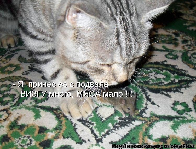 - Я принес ее с подвала . ВИЗГУ много, МЯСА мало !!!... Котоматрица: - Я принес ее с подвала . ВИЗГУ много, МЯСА мало !!!