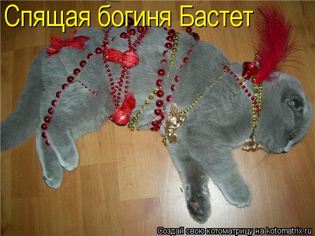 Котоматрица: Спящая богиня Бастет