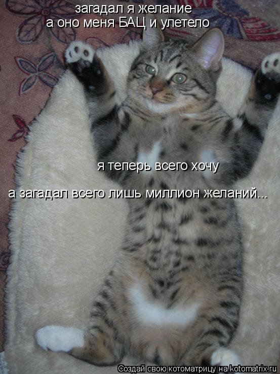 Котоматрица: загадал я желание а оно меня БАЦ и улетело я теперь всего хочу а загадал всего лишь миллион желаний...