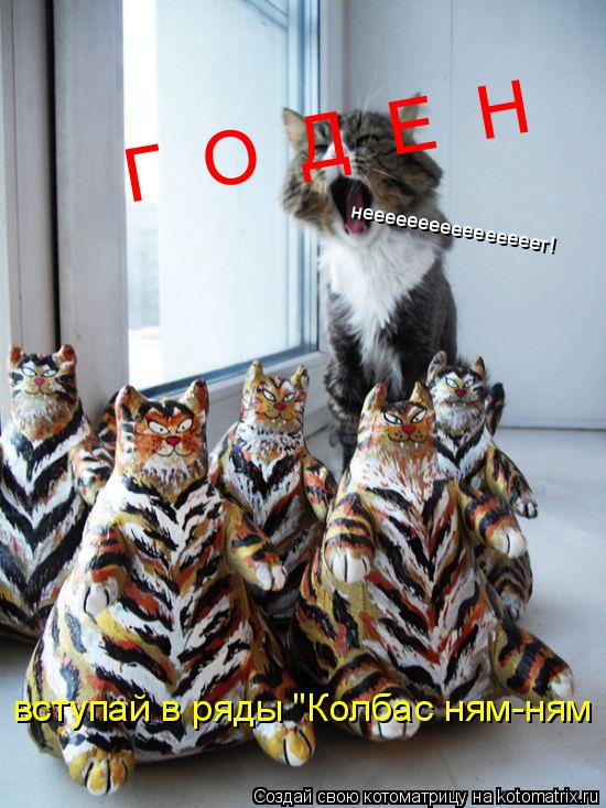 Г О Д Е Н неееееееееееееееет! вступай в ряды "Колбас ням-ням... Котоматрица: Г О Д Е Н неееееееееееееееет! вступай в ряды "Колбас ням-ням