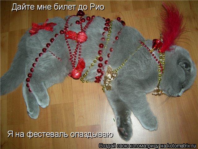Котоматрица: Дайте мне билет до Рио Я на фестеваль опаздываю