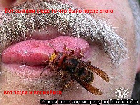 Котоматрица: Вот выложи сюда то что было после этого вот тогда и посмеёмся