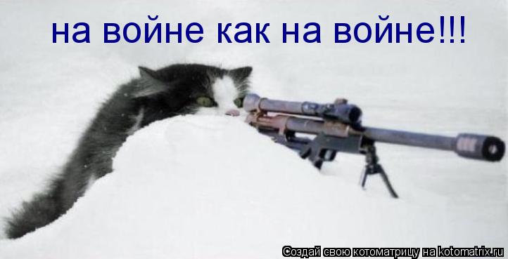 Котоматрица: на войне как на войне!!!