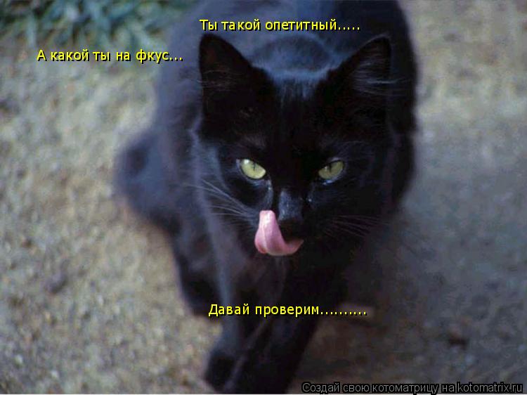 Котоматрица: Ты такой опетитный..... А какой ты на фкус... Давай проверим..........