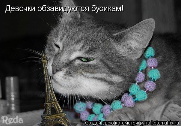Девочки обзавидуются бусикам!... Котоматрица: Девочки обзавидуются бусикам!