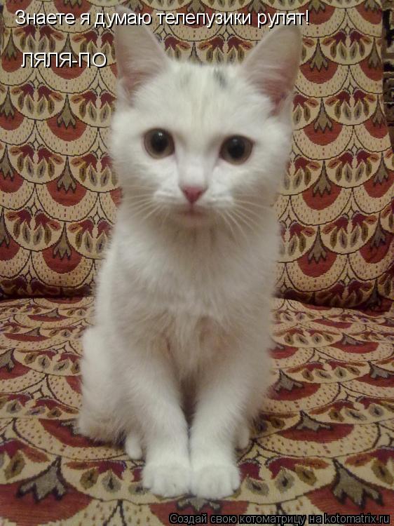 Знаете я думаю телепузики рулят! ЛЯЛЯ-ПО... Котоматрица: Знаете я думаю телепузики рулят! ЛЯЛЯ-ПО
