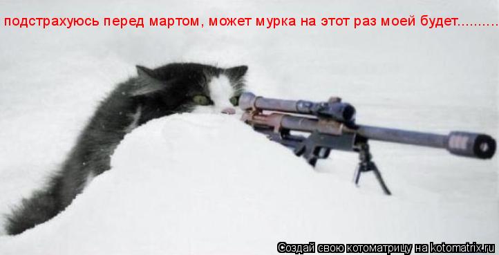 подстрахуюсь перед мартом, может мурка на этот раз моей будет............. Котоматрица: подстрахуюсь перед мартом, может мурка на этот раз моей будет..........