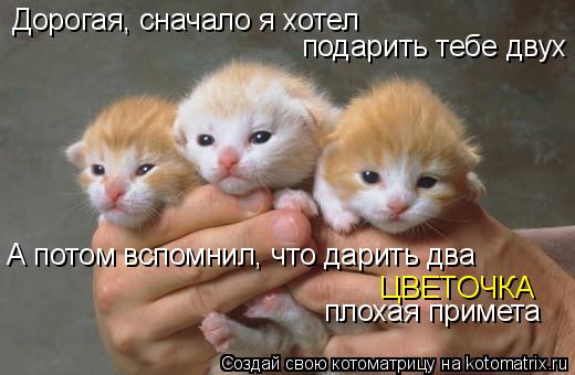Дорогая, сначало я хотел подарить тебе двух А потом вспомнил, что дарить два ЦВЕТОЧКА плохая примета... Котоматрица: Дорогая, сначало я хотел подарить тебе двух А потом вспомнил, что дарить два ЦВЕТОЧКА плохая примета