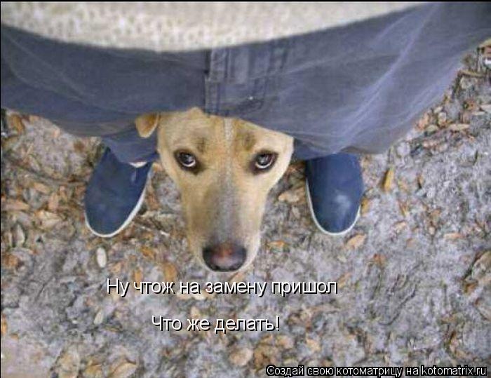 Ну чтож на замену пришол Что же делать!... Котоматрица: Ну чтож на замену пришол Что же делать!