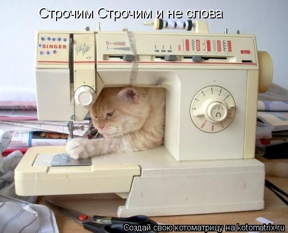 Строчим Строчим и не слова... Котоматрица: Строчим Строчим и не слова