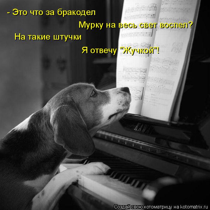 - Это что за бракодел Мурку на весь свет воспел? На такие штучки Я отвечу "Жучкой"!... Котоматрица: - Это что за бракодел Мурку на весь свет воспел? На такие штучки Я отвечу "Жучкой"!