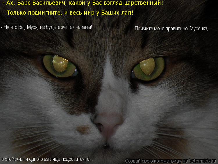 - Ах, Барс Васильевич, какой у Вас взгляд царственный! Только подмигните, и весь мир у Ваших лап! - Н... Котоматрица: - Ах, Барс Васильевич, какой у Вас взгляд царственный! Только подмигните, и весь мир у Ваших лап! - Ну что Вы, Муся, не будьте же так наивны! в эт