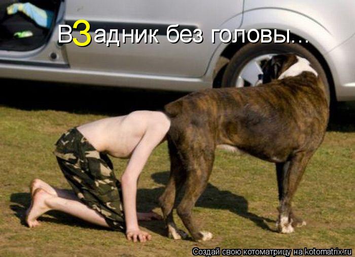 Котоматрица: В   адник без головы... З