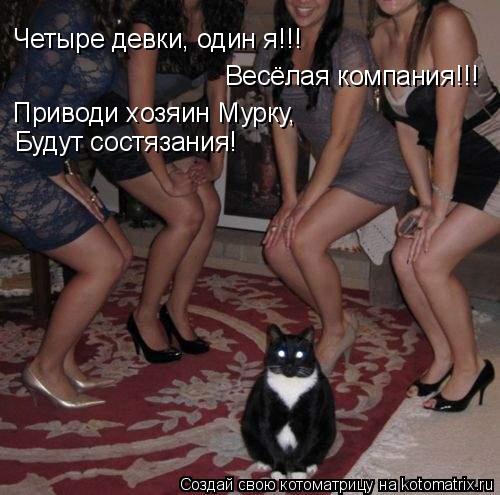 Четыре девки, один я!!! Весёлая компания!!! Приводи хозяин Мурку, Будут состязания!... Котоматрица: Четыре девки, один я!!! Весёлая компания!!! Приводи хозяин Мурку, Будут состязания!