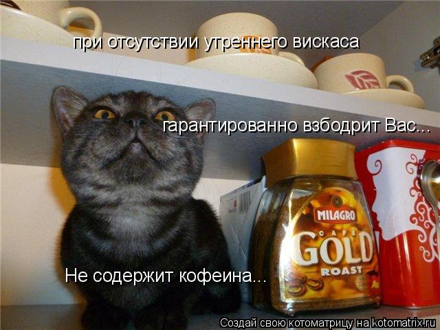 при отсутствии утреннего вискаса гарантированно взбодрит Вас... Не содержит кофеина...... Котоматрица: при отсутствии утреннего вискаса гарантированно взбодрит Вас... Не содержит кофеина...