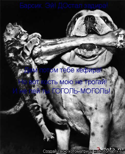 Барсик. Эй! ДОстал задира Дам потом тебе кефира! ! Но вот кость мою не трогай! И не пей ты ГОГОЛЬ-МОГ... Котоматрица: Барсик. Эй! ДОстал задира Дам потом тебе кефира! ! Но вот кость мою не трогай! И не пей ты ГОГОЛЬ-МОГОЛЬ!