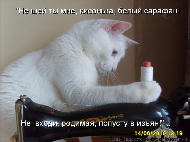 "Не шей ты мне, кисонька, белый сарафан! Не входи, родимая, попусту в изъян!"...... Котоматрица: "Не шей ты мне, кисонька, белый сарафан! Не входи, родимая, попусту в изъян!"...