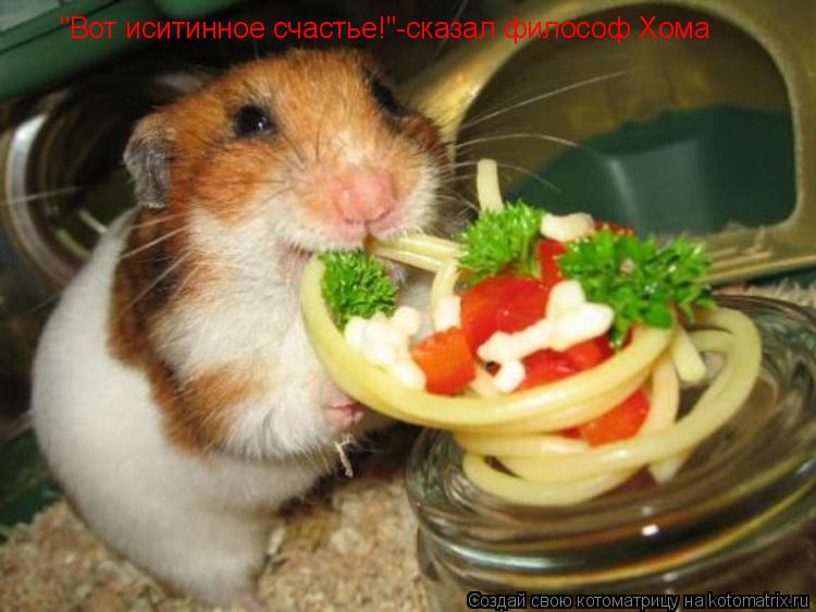 "Вот иситинное счастье!"-сказал философ Хома... Котоматрица: "Вот иситинное счастье!"-сказал философ Хома
