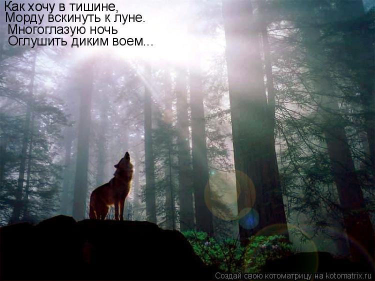 Как хочу в тишине, Как хочу в тишине, Морду вскинуть к луне. Многоглазую ночь Оглушить диким воем...... Котоматрица: Как хочу в тишине, Как хочу в тишине, Морду вскинуть к луне. Многоглазую ночь Оглушить диким воем...