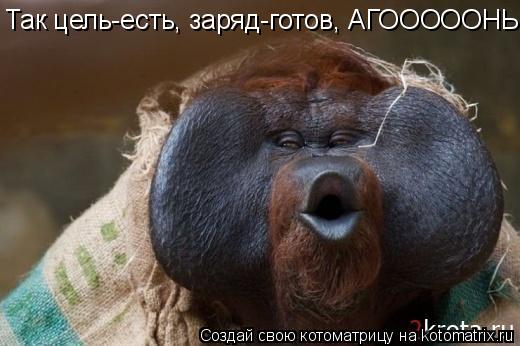 Так цель-есть, заряд-готов, АГОООООНЬ... Котоматрица: Так цель-есть, заряд-готов, АГОООООНЬ