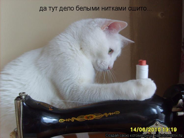 Что делать если тебе шьют дело Что делать если тебе шьют дело
