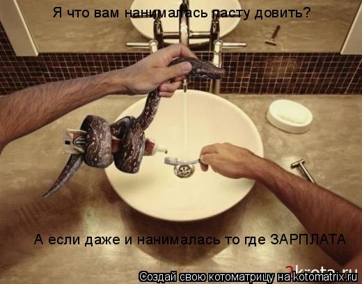 Я что вам нанималась пасту довить? А если даже и нанималась то где ЗАРПЛАТА... Котоматрица: Я что вам нанималась пасту довить? А если даже и нанималась то где ЗАРПЛАТА